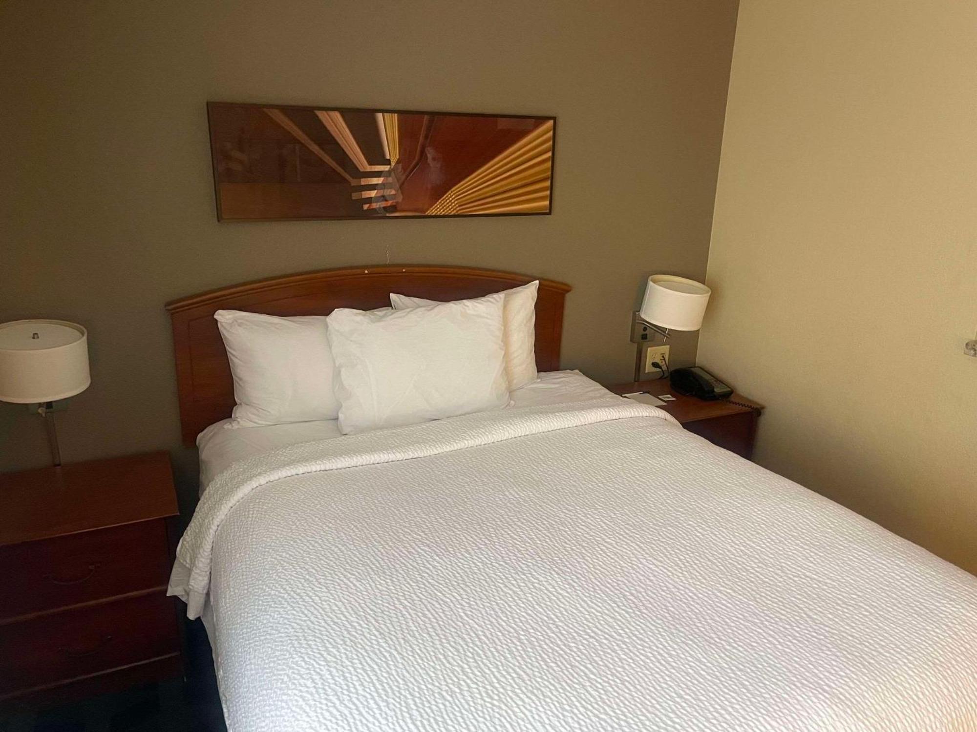 Mainstay Suites Tampa Moffitt-Usf Temple Terrace Экстерьер фото